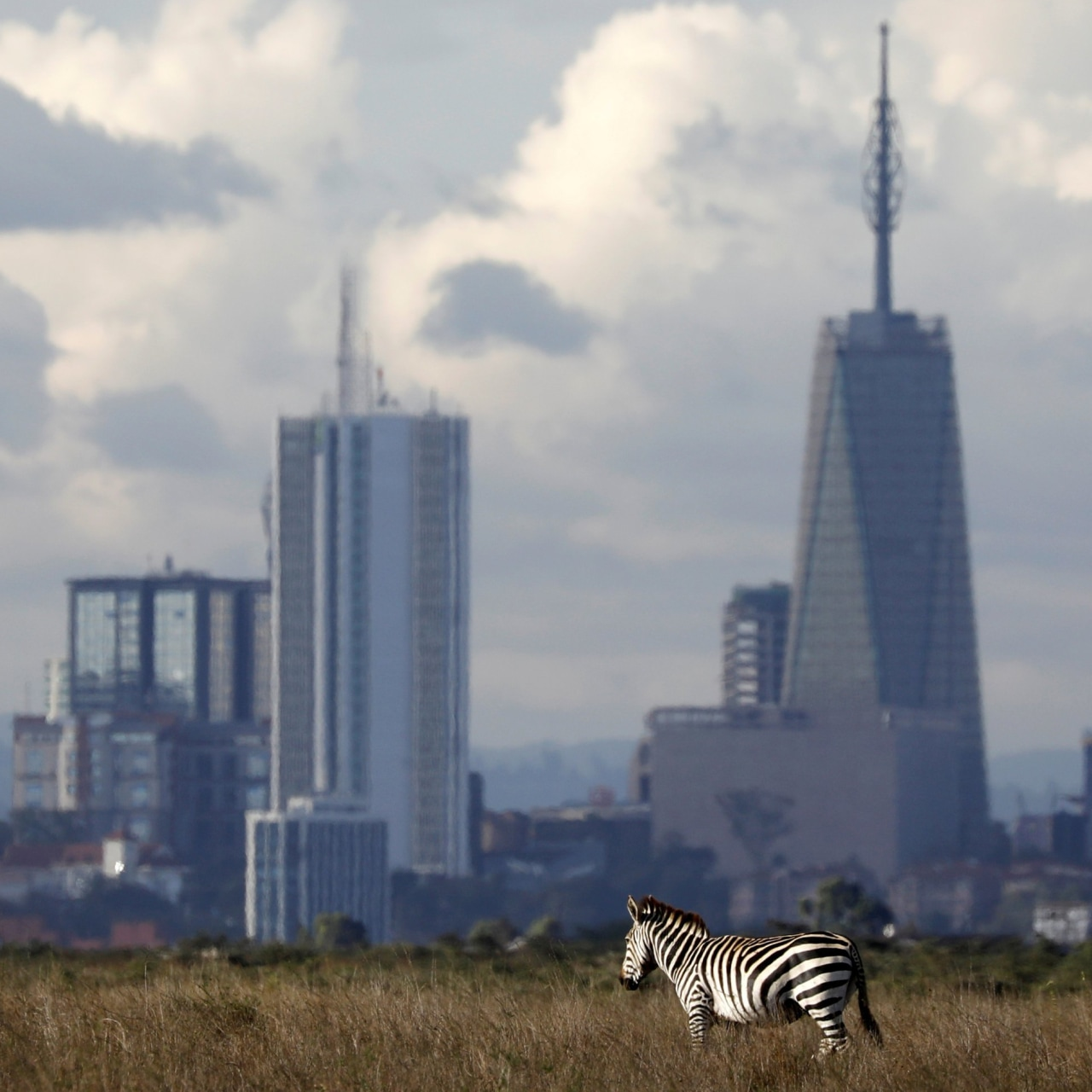 Uber’s New Kenyan Safari Business Is Already Stumbling