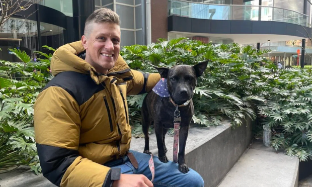 One Dog's Cancer Vaccine Just Became a Real Company