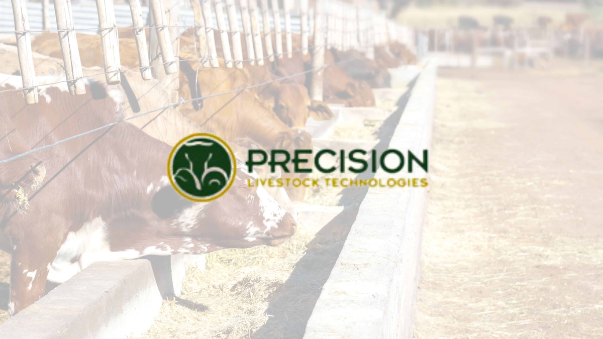 Precision Livestock Technologies Unveils AI-Based System for Cattle Feed Intake Prediction