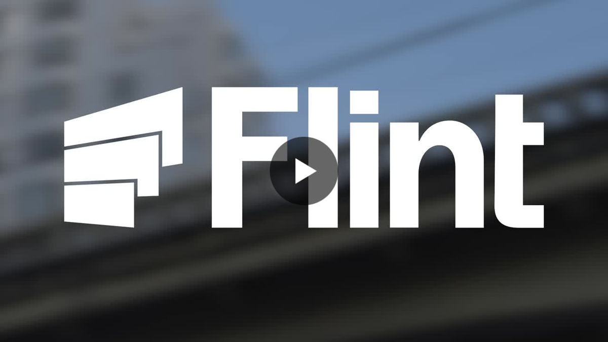 Introducing Flint: Autonomous Website Platform for Growth Teams