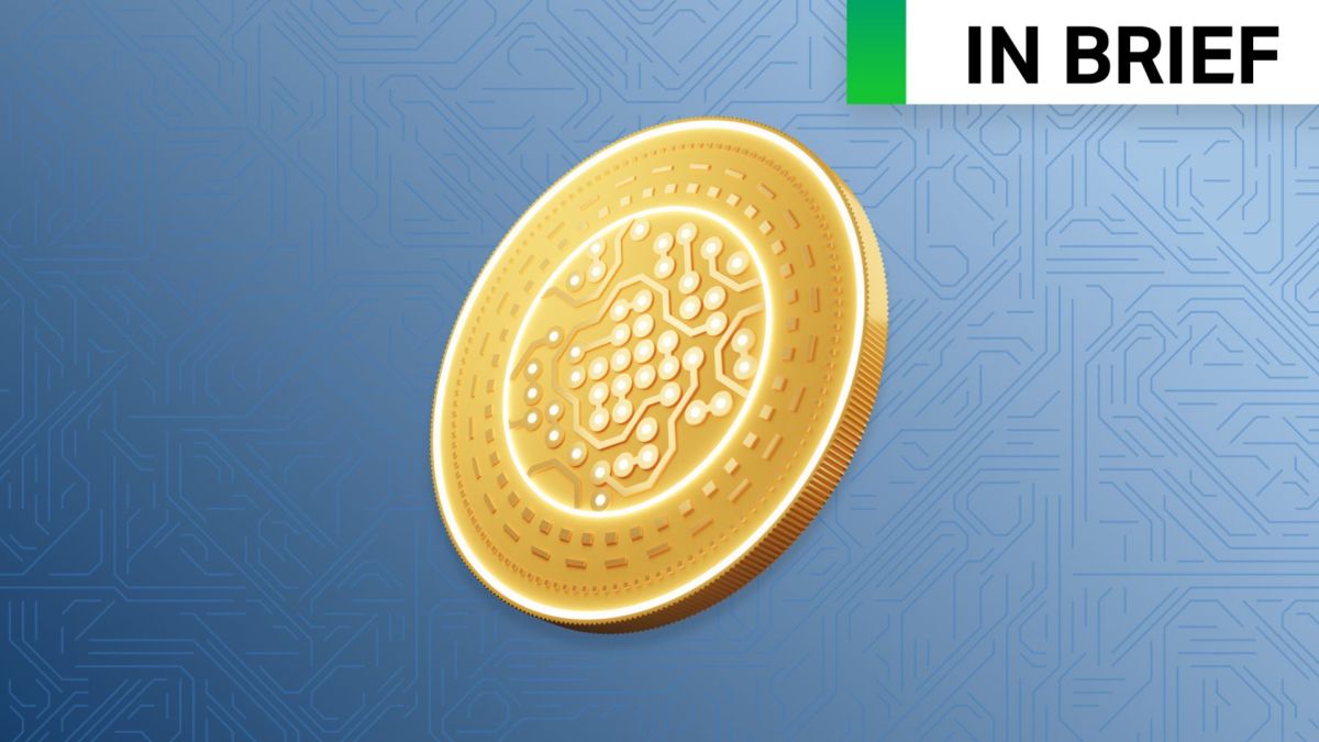 Winning a gold medal is a lot like being a VC, according to Olympic champion Kristen Faulkner