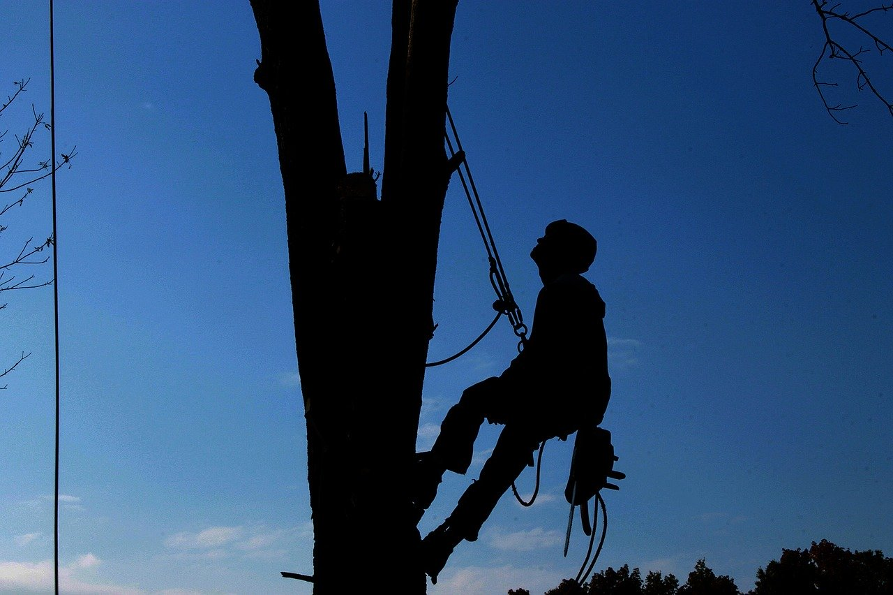 Macquarie Asset Management divesting stake in Energie Steiermark