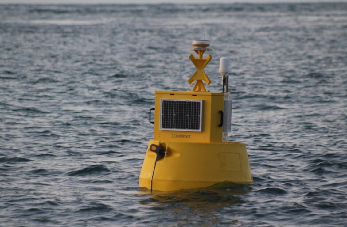 Anglesey tech firm wins contract to protect marine life at tidal energy project