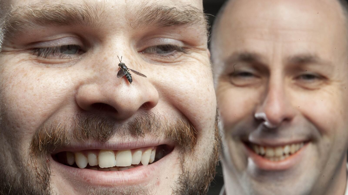 Irish start-up Hexafly looks to go global with insect farming