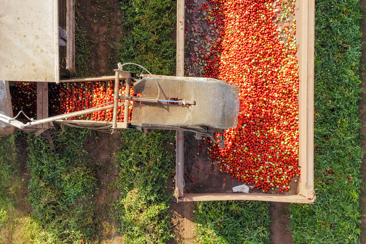 AI-powered Data Analytics = Bigger Yields in Agriculture