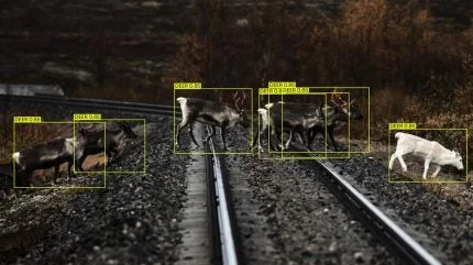 Alstom and Flox trialling AI wildlife detection system in Sweden