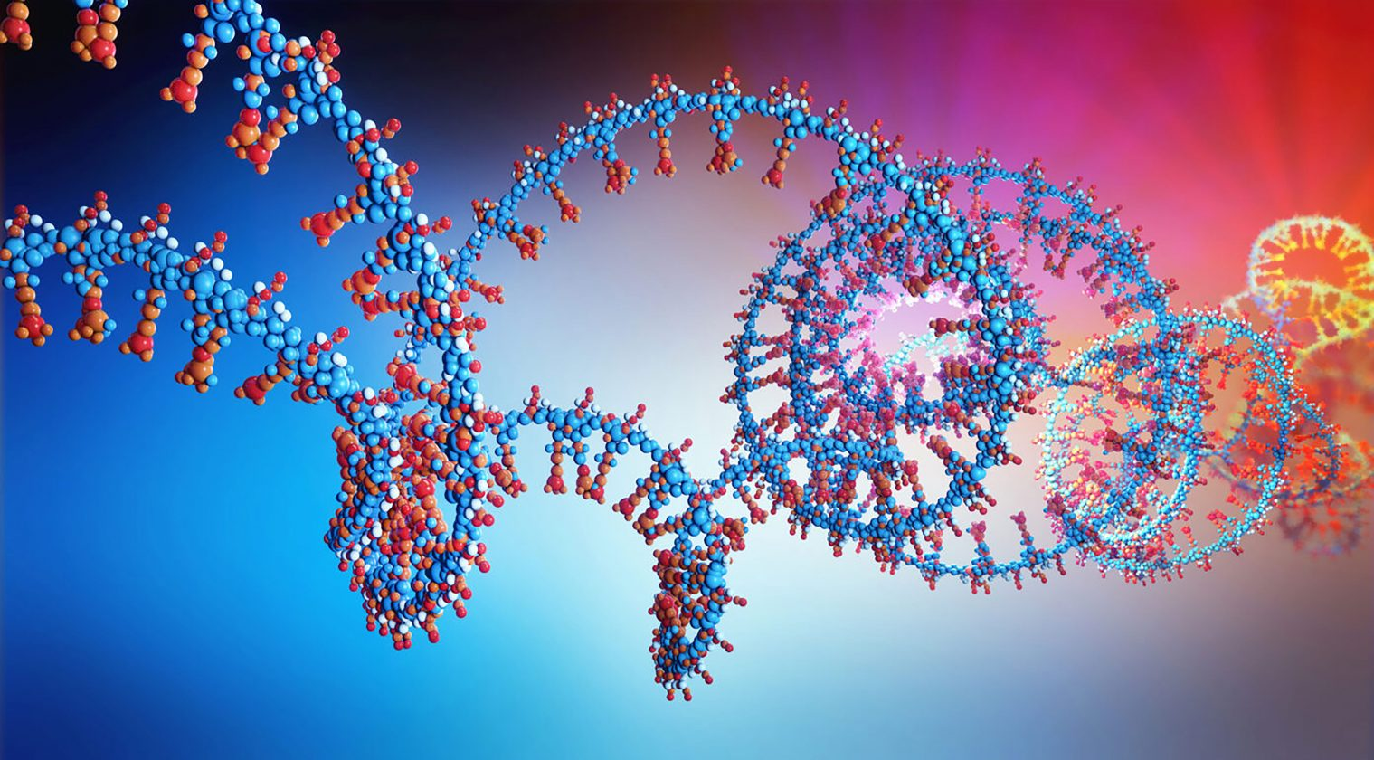 Sensible Biotechnologies Raises $47M to Expand Next-Generation Platform for mRNA Medicines