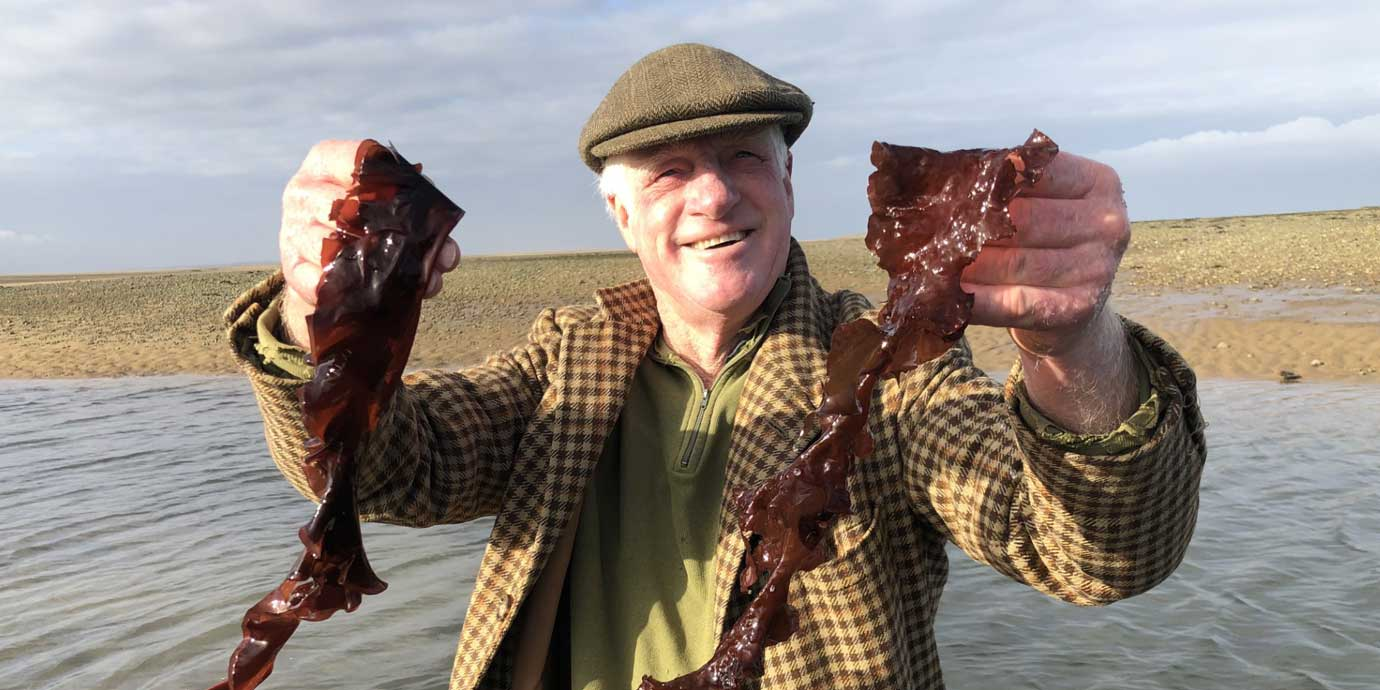 In Conversation With… Willie Athill of Norfolk Seaweed