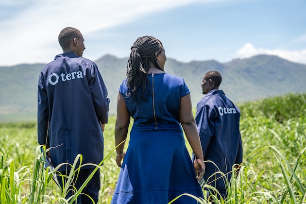 Kenyan Biochar Project Becomes First in Africa Validated Under European Carbon Standard