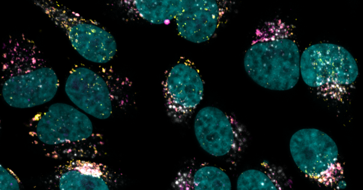 Creyon Bio Deal with Lilly Brings up to 1 Billion in Payments for Research on RNA-Targeting Drugs