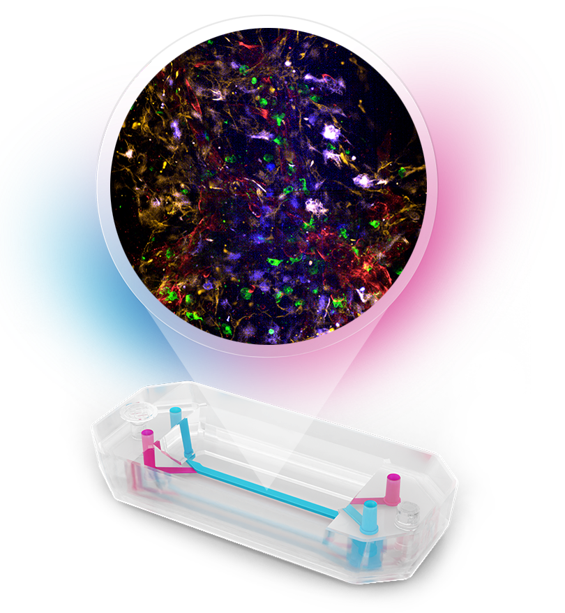 Emulate Launches Brain-Chip R1 to Advance Neurological Drug Development in Partnership with FUJIFILM Cellular Dynamics