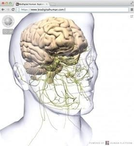 3D Digital Model Of Human Body Attracts VC Funding