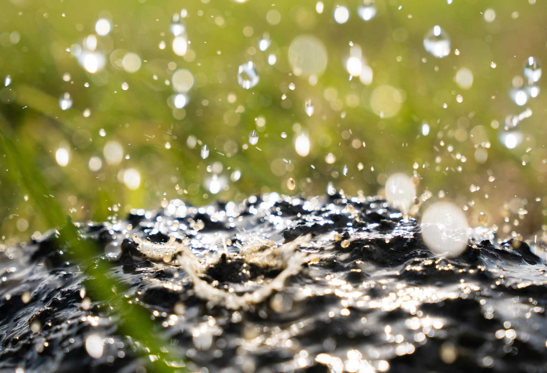 New Study Demonstrates Measurable Carbon Removal Through Enhanced Weathering in a Temperate Climate