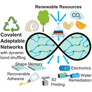 Covalent adaptable networks from renewable resources