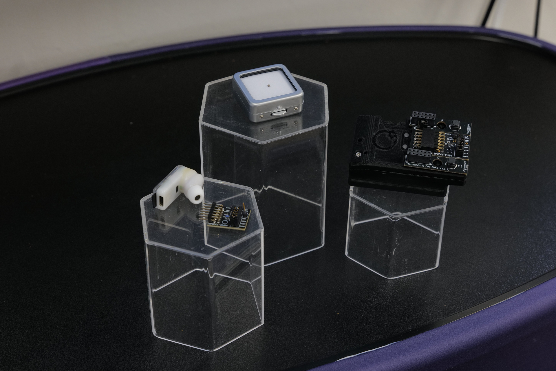 Running AI at the Edge | femtoAI and the Case for Sparse Silicon