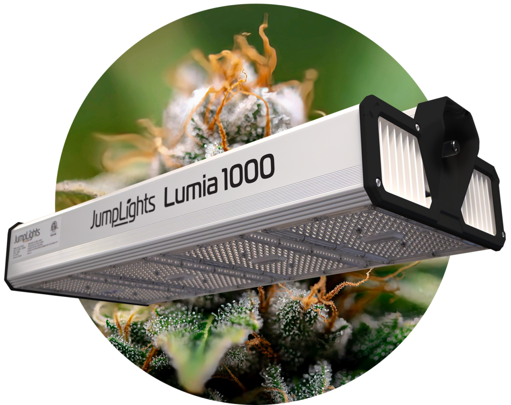 JumpLights Launches New Lumia Lensed Light