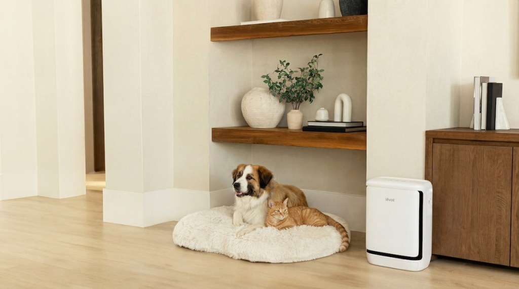 Amazon's Supply Reordering Service Gets Integrated In Nearly A Dozen More Household Devices