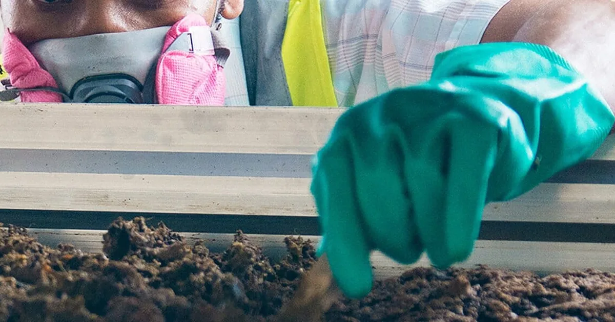 Dutch firm prepares to open world's first insect farming school