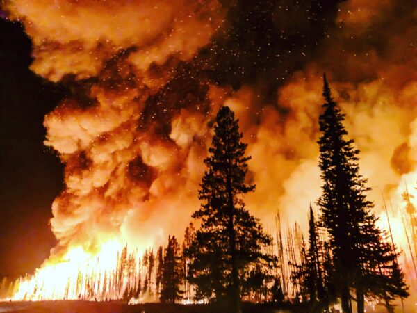 Fire Foresight Wins $500,000 XPRIZE Wildfire Award