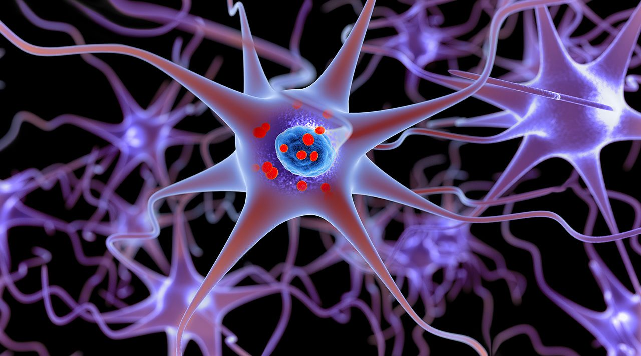 AC Immune Receives FDA Fast Track Designation for Parkinson Immunotherapy ACI-7104 | BioPharm International