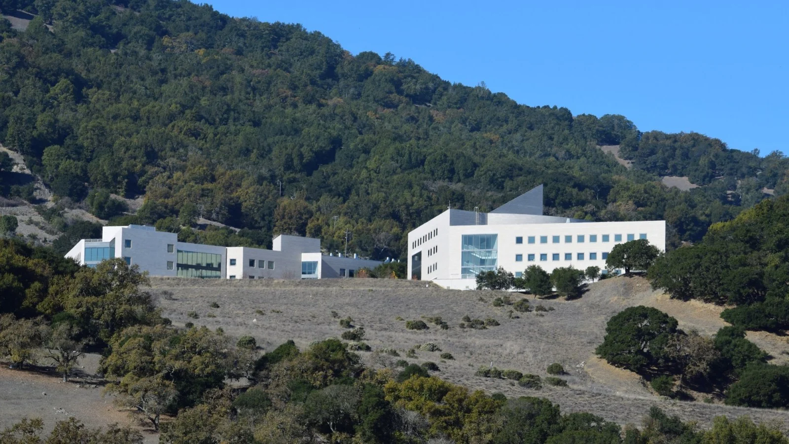 Marin County dementia drug startup gets venture capital infusion