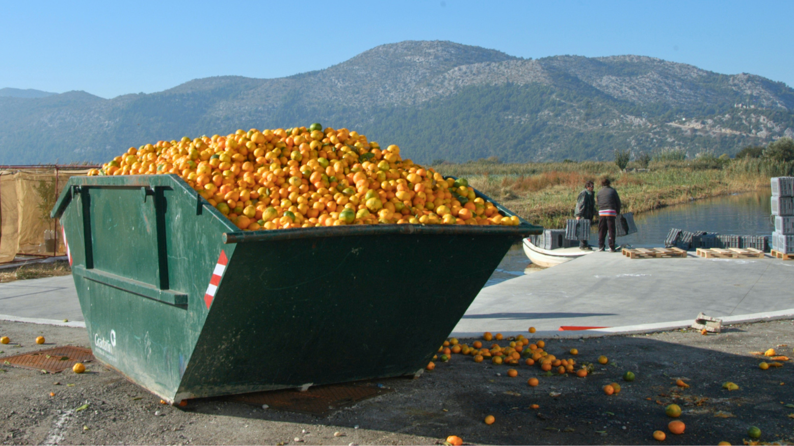 How Nuclear Science Helps Tackle Food Waste