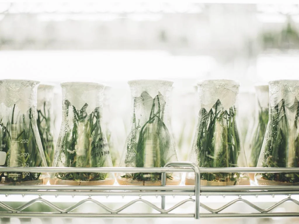 Synonym Announces $6.3M Pre-Seed Round for Biomanufacturing Development