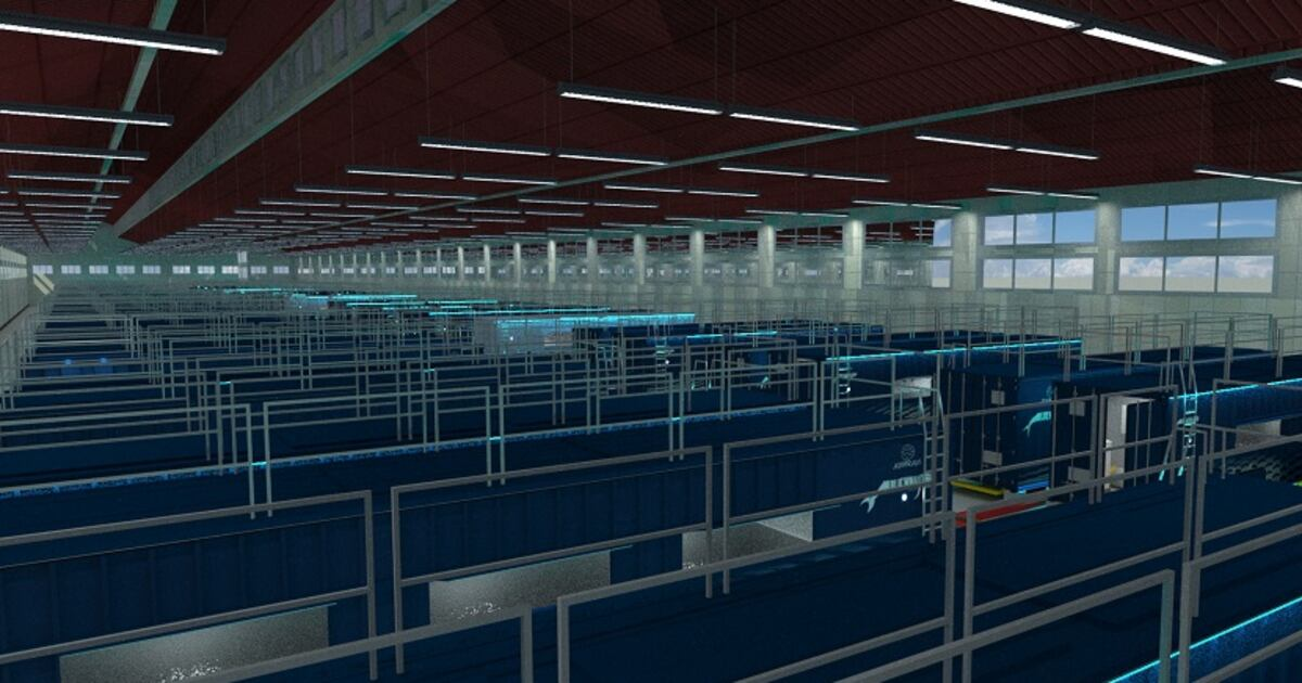 Urban shrimp farming startup Atarraya expands locally, thinks globally about food system