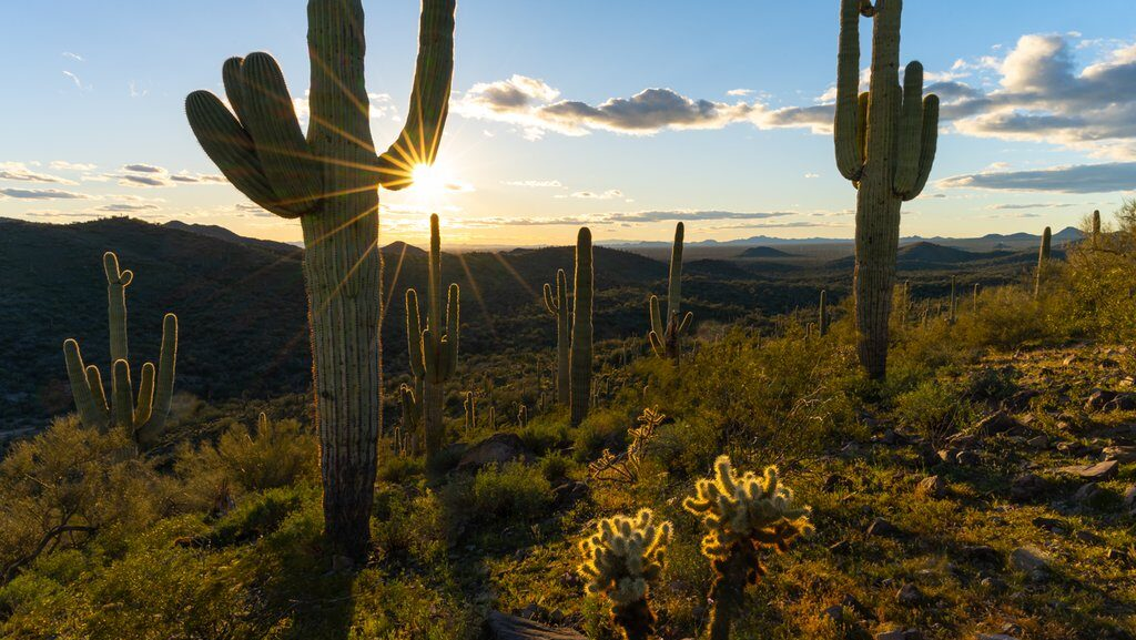 David Weekley Homes to break ground at $1B Saddleback master-planned community in Peoria