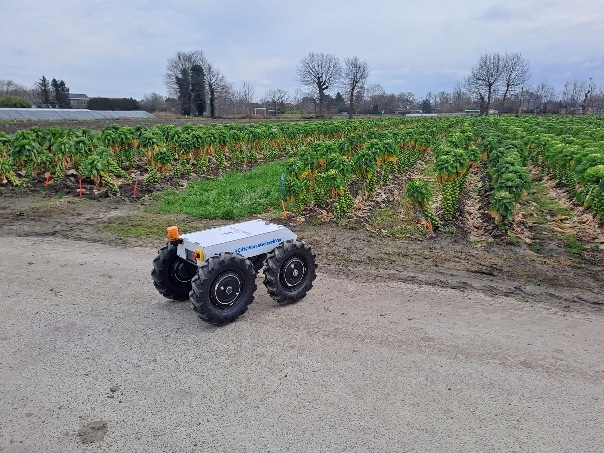 Orbiba Robotics develops affordable EcominoS field robot