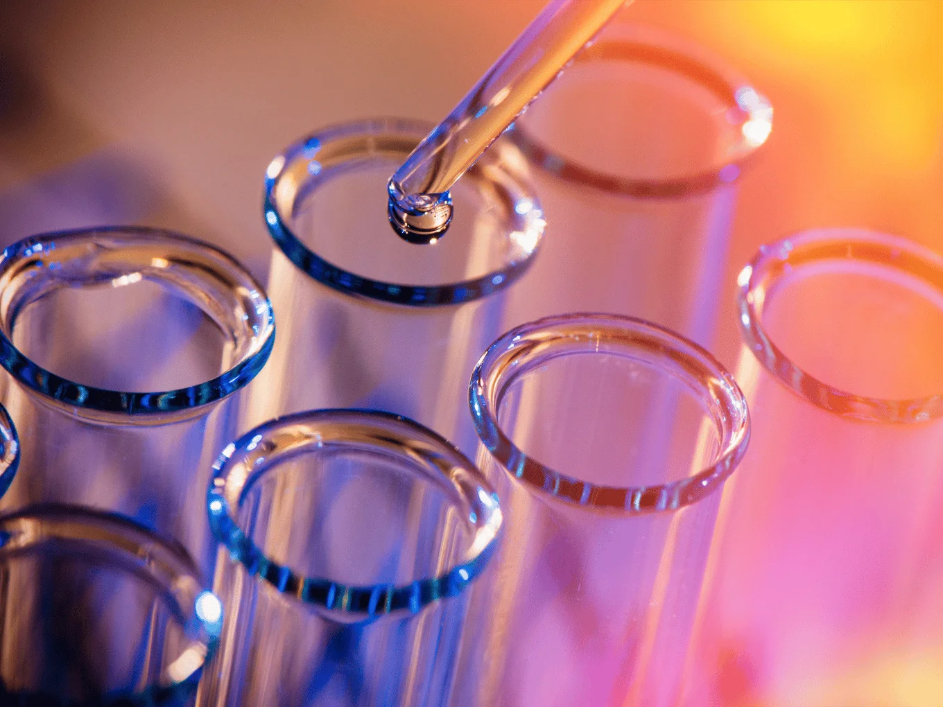 Healthtech Startup Avammune Bags $12 Mn From Capital 2B, Others