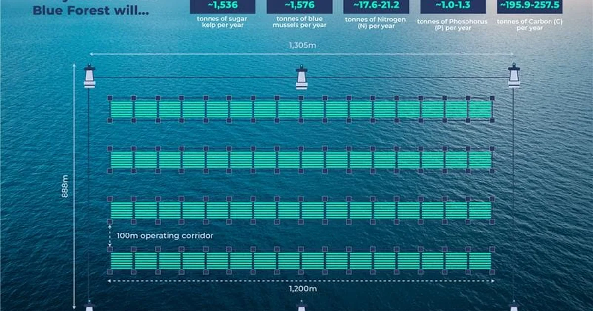 New report puts numbers on regenerative aquaculture's potential