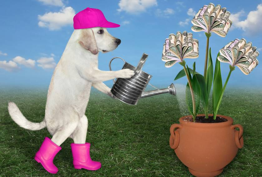 Australia's 20/12 rule is stifling angel investment