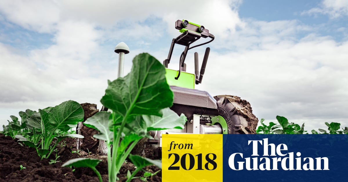 ‘We'll have space bots with lasers, killing plants’: the rise of the robot farmer