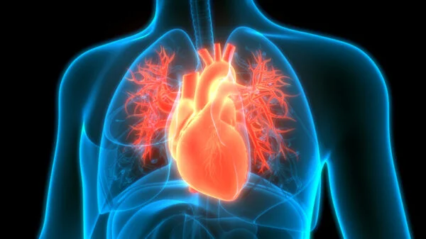 Novartis’s $1.4B Tourmaline Acquisition Brings Heart Drug That Could Rival Novo Nordisk, CSL Meds