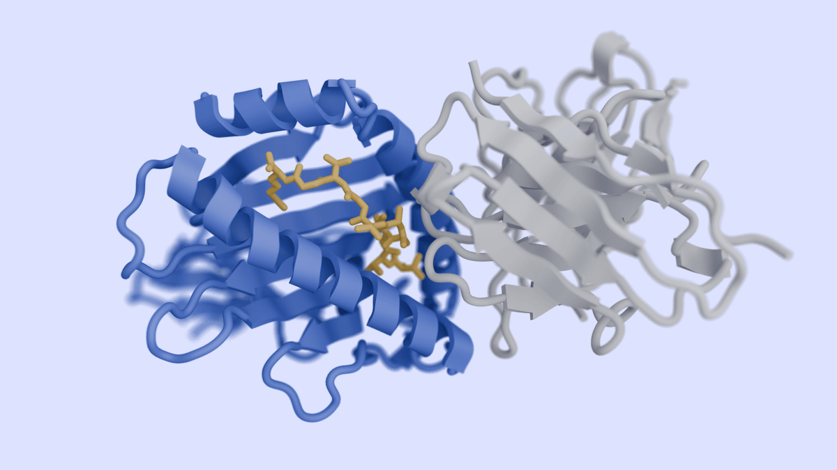 Drug-like antibody design against challenging targets with atomic precision