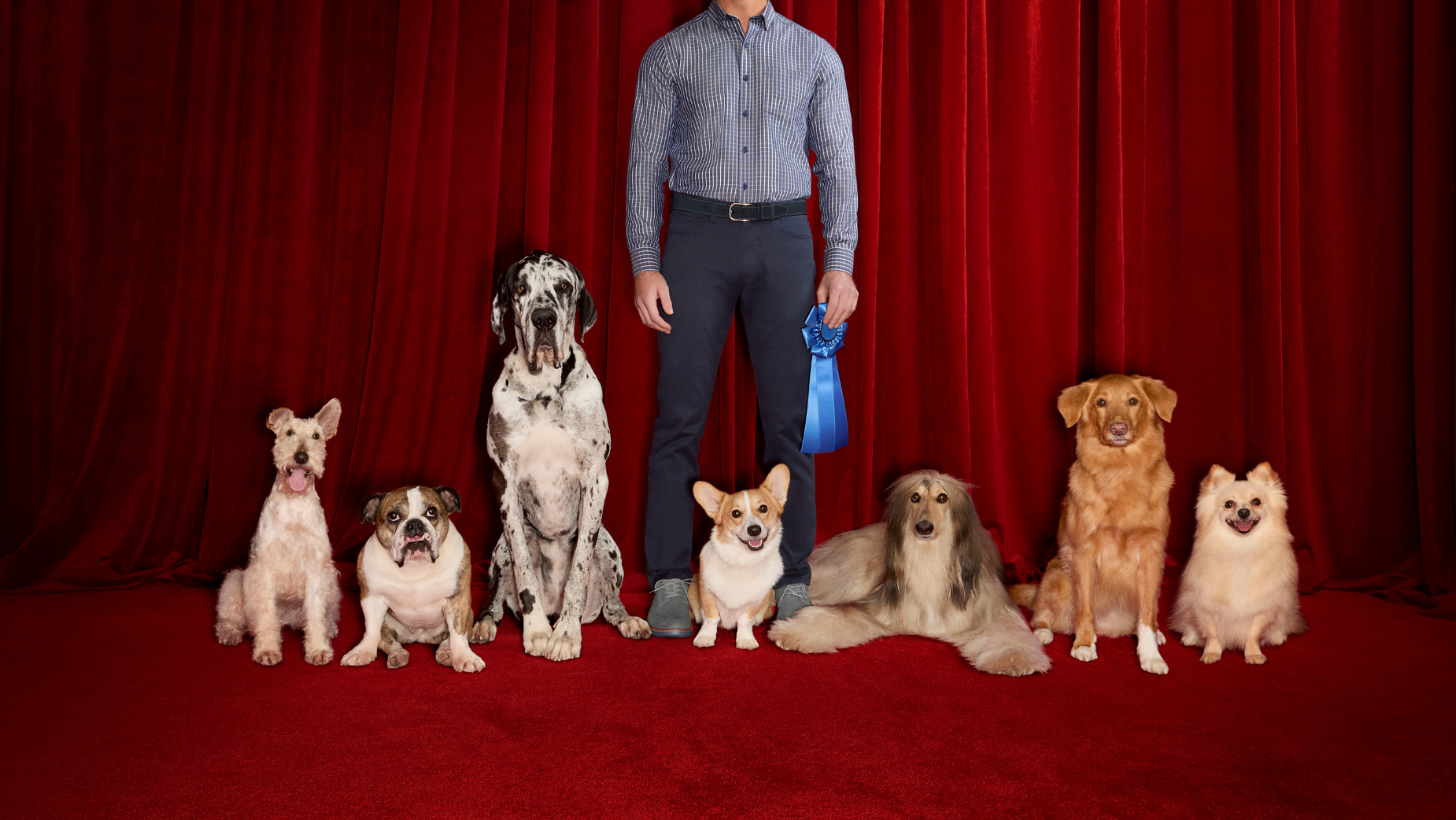 At Westminster, Johnston & Murphy Lets the Dogs Steal the Shoes