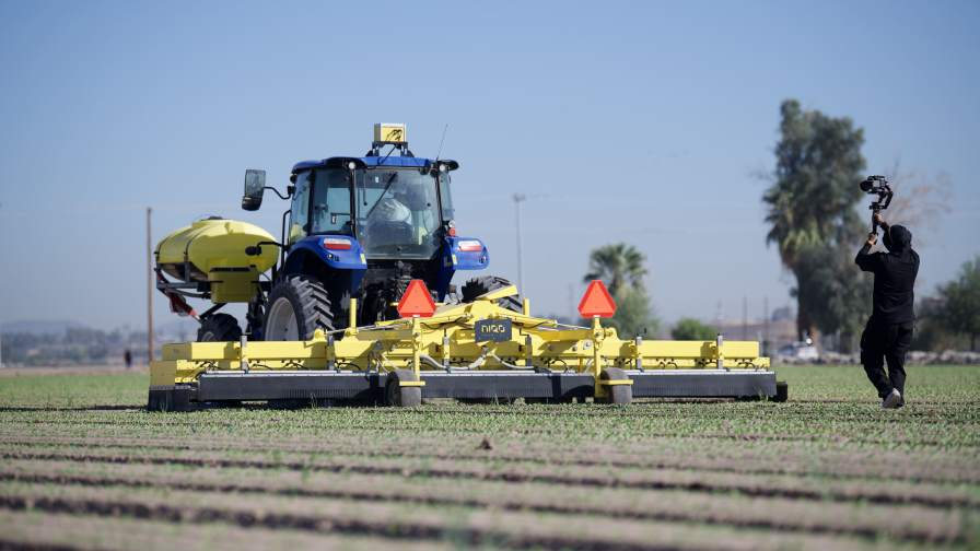 Niqo Robotics Charts Path to Profitability as Physical AI Weeding Platform Expands