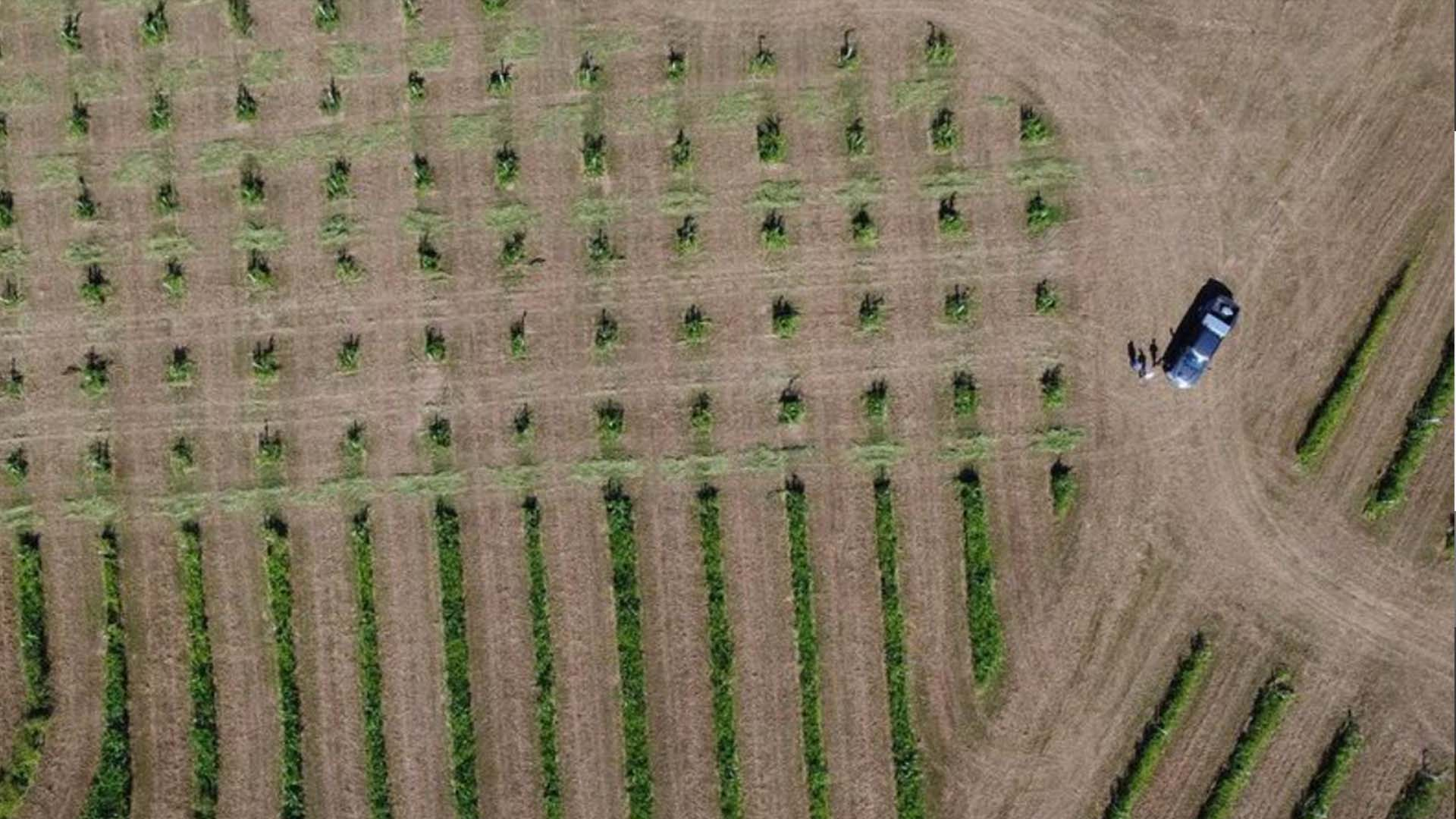 Propagate: Growing Profits and Unlocking Farmlands’ Potential