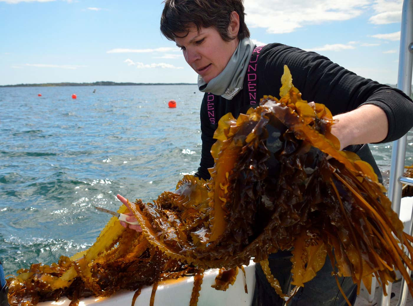 Suzie Flores of Stonington Kelp has a lot to smile about