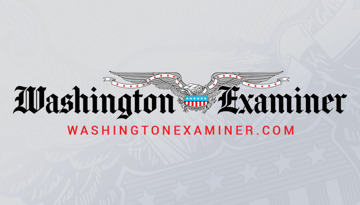 Feds clear way for NM transmission project