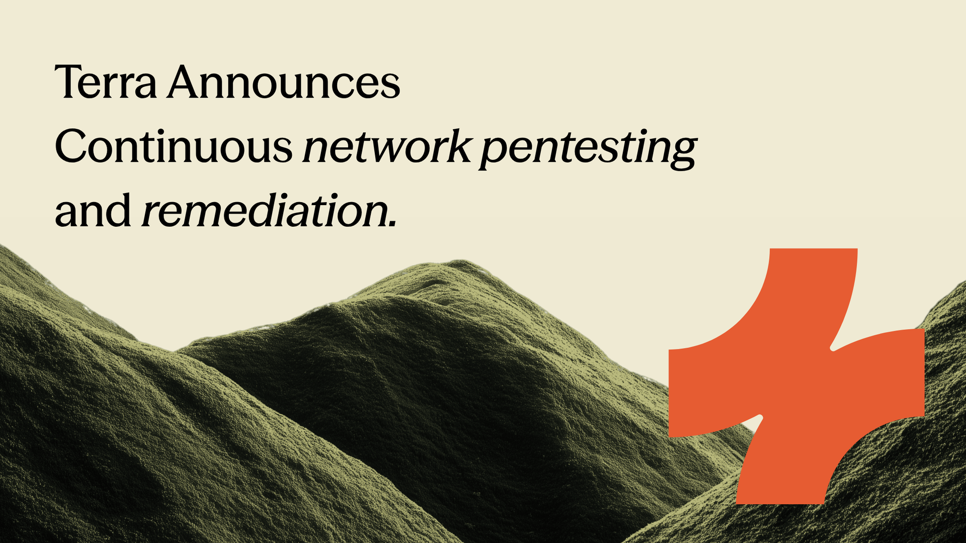 Terra Security Launches Network Penetration Testing