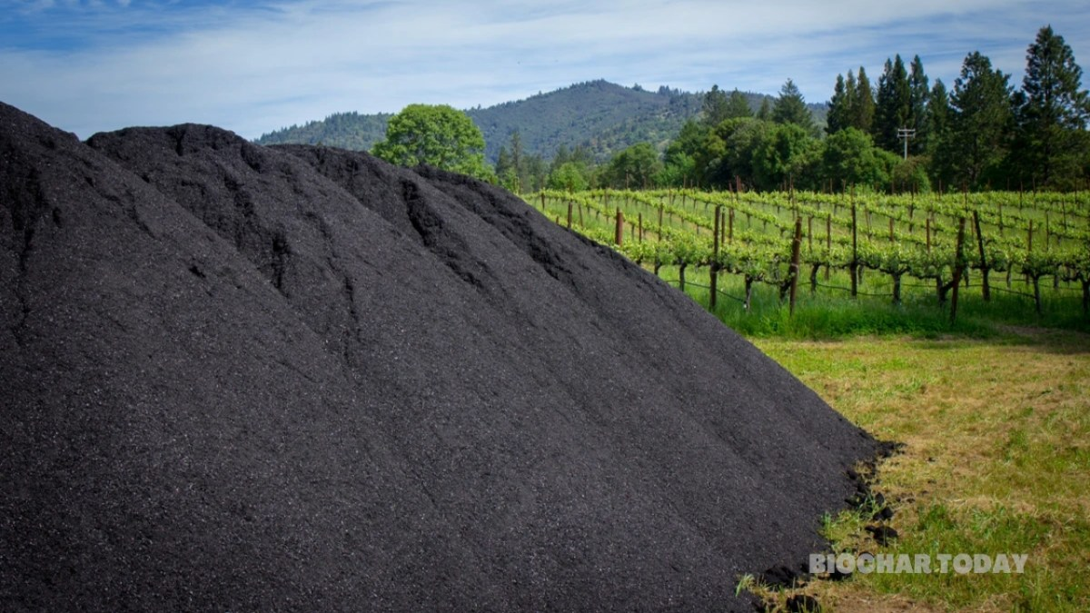 Enhancing Soil and Carbon Removal with Biochar Innovation