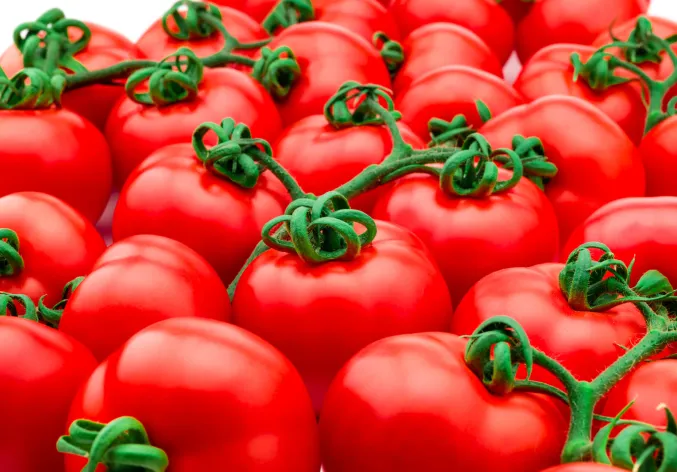 ChemChina announces the definitive end results of the tender offers for Syngenta