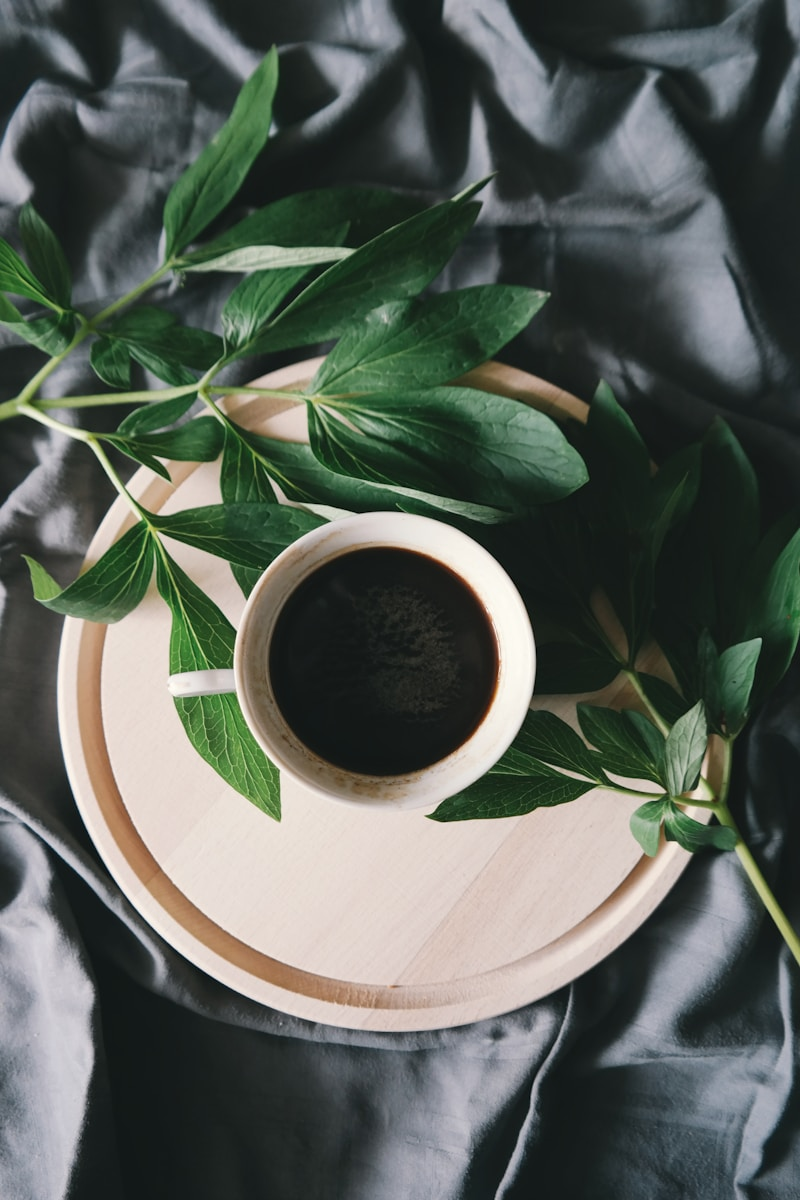 Everyday Dose Functional Coffee Lands in 1,500 Target Stores Nationwide as Mushroom Coffee Market Hits Critical Mass