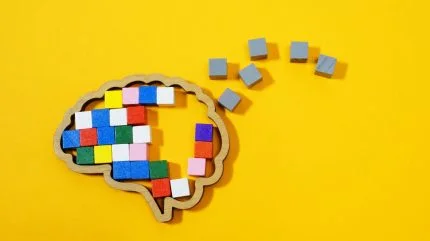 Nia Therapeutics plans FIH memory loss implant trial after FDA green light