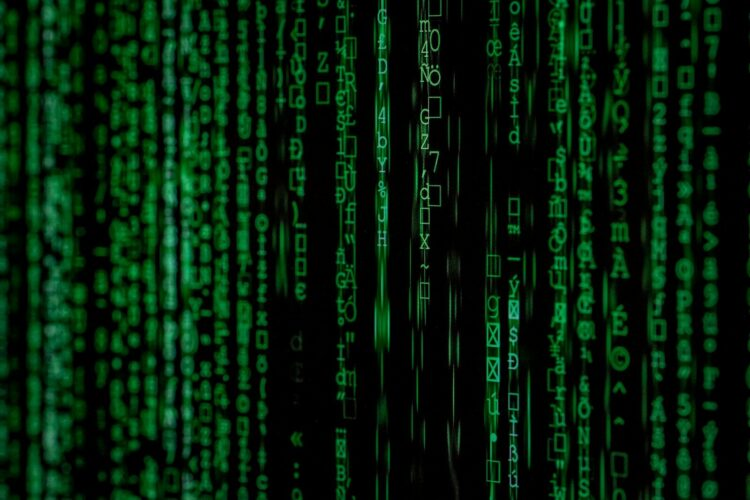 Exclusive: Osavul snaps up $10M to expand its hybrid threat detector tech to more users
