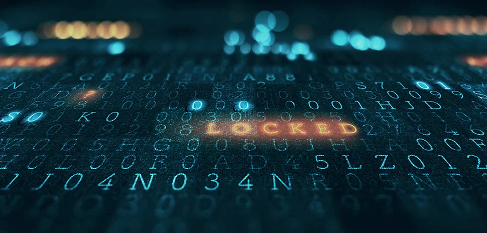 Dallas' Enterprise Data Solutions Provider K2View Raises $28M for Rapid Expansion