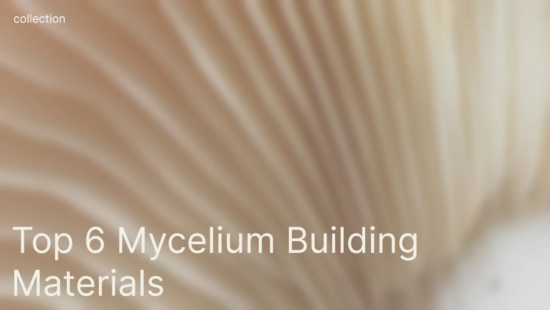 Nature-based Solutions: Top 6 Mycelium Building Materials