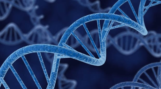 St. John's company wants court to speed up application process for genome project
